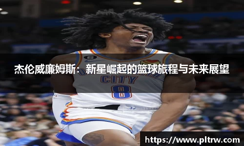 米兰·(milan)中国官方网站